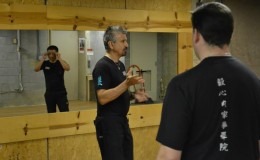 Xing Yi Kung Fu Baltimore Seminar