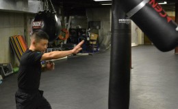 Xing Yi Kung Fu Baltimore Seminar